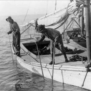 Fishing Oysters in Mobile Bay by Lewis Wickes Hine - Art Print