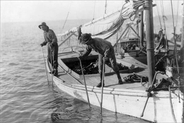 Fishing Oysters in Mobile Bay by Lewis Wickes Hine - Art Print