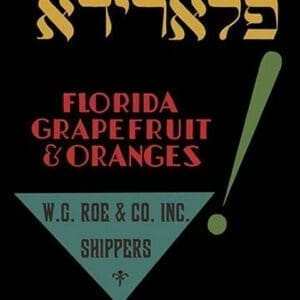 Florida Grapefruit and Oranges - Art Print