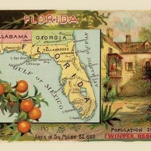 Florida by Arbuckle Brothers - Art Print