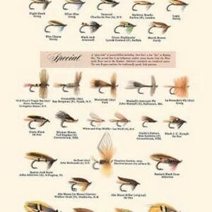 Fly-Fishing Lures: Low Water and Special Unknown - Art Print