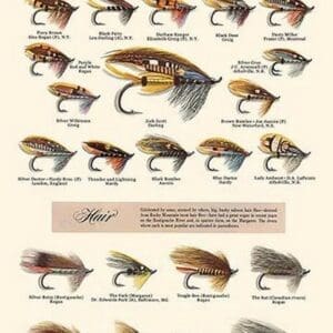 Fly-Fishing Lures: Standard and Hair Unknown - Art Print