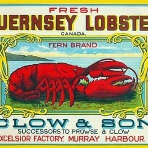 Fresh Guernsey Lobster - Art Print