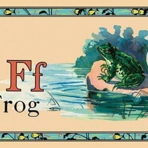 Frog - Art Print
