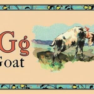 Goat - Art Print