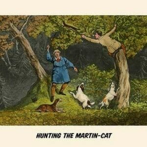 Hunting the Martin Cat by Henry Alken - Art Print