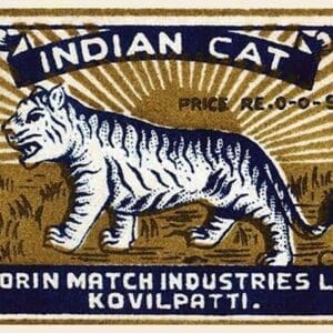 Indian Cat - Art Print