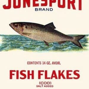 Jonesport Fish Flakes #2 - Art Print