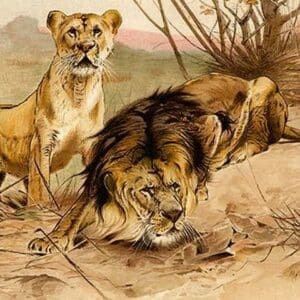 King of Beasts - Lions by Friedrich Wilhelm Kuhnert - Art Print