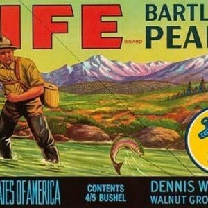 Life Brand Bartlett Pears by Schmidt Litho Co. - Art Print