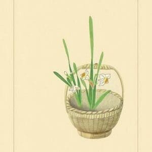 Narcissus by Sofu Teshigawara - Art Print
