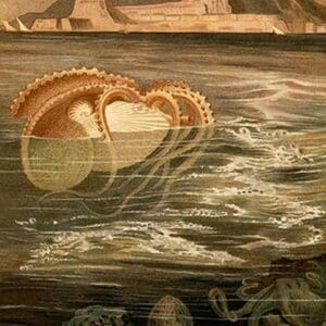Nautilus by Friedrich Wilhelm Kuhnert - Art Print