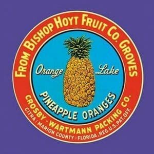 Orange Lake Brand Pineapples - Art Print