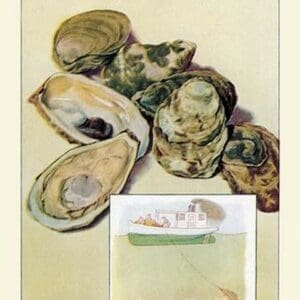 Oysters - Art Print