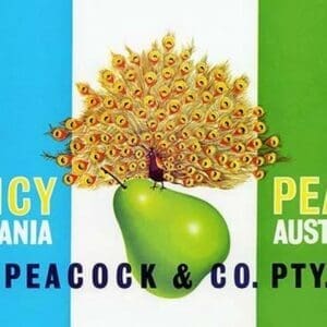 Peacock Pears - Art Print