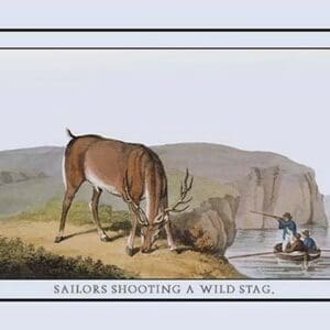 Sailors Shooting Wild Stag - Art Print