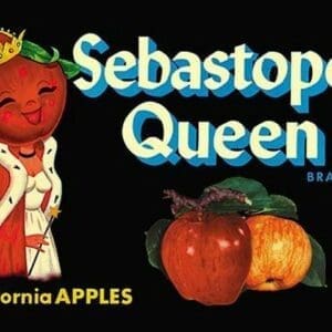 Sebastopol Queen Brand Apples - Art Print