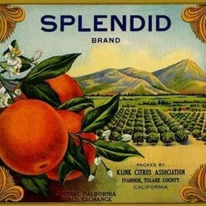 Splendid Brand Citrus - Art Print