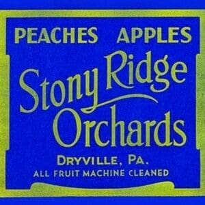 Stony Ridge Orchards Peaches & Apples - Art Print