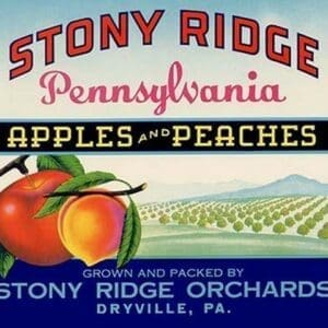 Stony Ridge Pennsylvania Apples and Peaches - Art Print