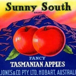 Sunny South Tasmanian Apples - Art Print