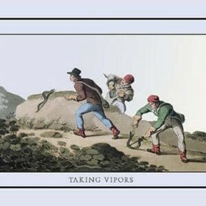Taking Vipers by J.H. Clark - Art Print