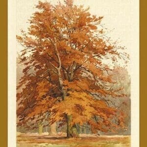 The Beech Tree by W.H.J. Boot - Art Print