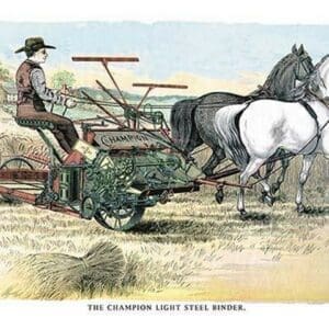 The Champion Light Steel Binder - Art Print
