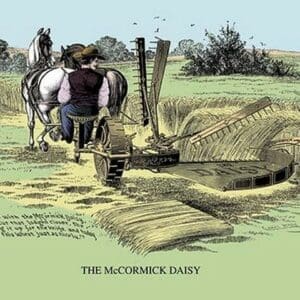 The McCormick Daisy - Art Print