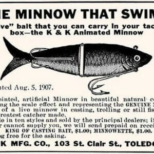 The Minnow that Swims - Art Print