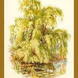 The Weeping Willow by W.H.J. Boot - Art Print