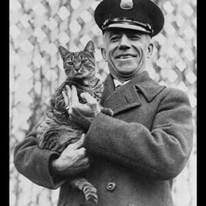 Tige the White House Cat - Safe and Sound - Art Print