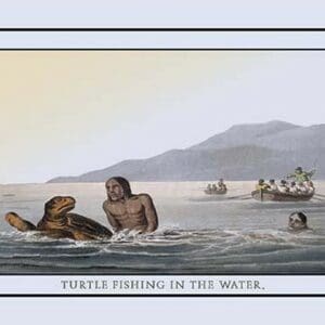 Turtle Fishing In The Water by J.H. Clark - Art Print