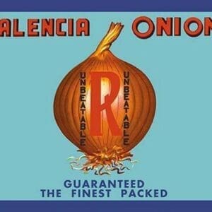 Valencia Onions - Art Print