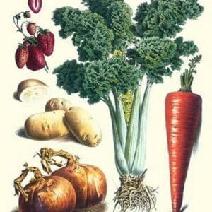 Vegetables; Celery
