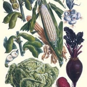 Vegetables; Corn