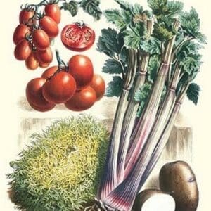 Vegetables; Tomato Varieties