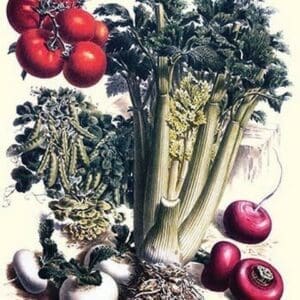 Vegetables; Turnip