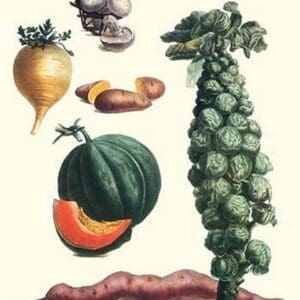 Vegetables; brussel sprouts