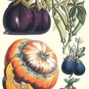 Vegetables; eggplant