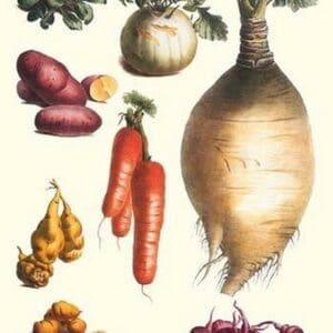 Vegetables; onion