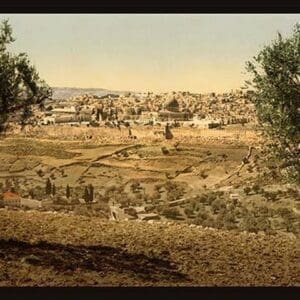 View from the Mount of Olives by Detroit Photographic Company - Art Print