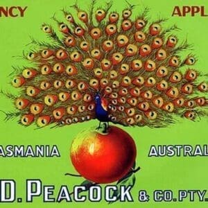 W.D. Peacock Fancy Apples - Art Print