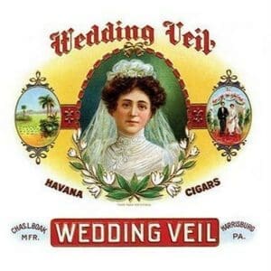Wedding Veil - Art Print