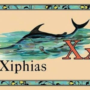 Xiphias - Art Print