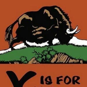 Y is for Yak by Charles Buckles Falls - Art Print