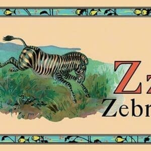 Zebra - Art Print