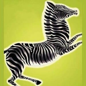 Zebra by Frank McIntosh - Art Print