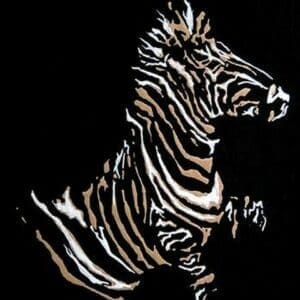 Zebra by Norma Kramer - Art Print